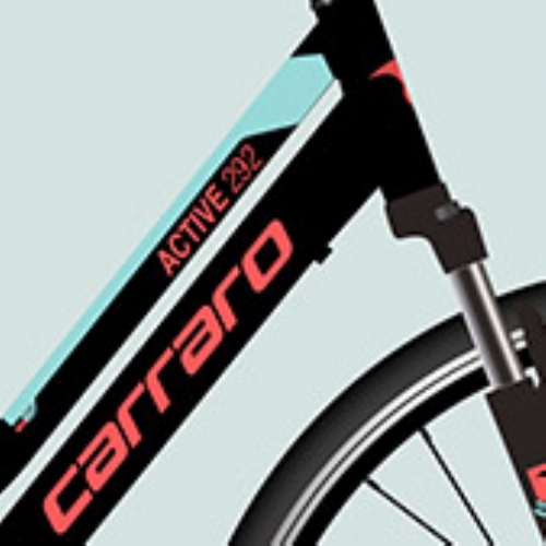 CARRARO ACTIVE 292 28  21 V VF