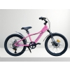 RUUT ROB�N 20 JANT 10" 7V MD PEMBE