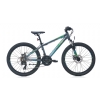 CARRARO FORCE 410 24 21 V MD