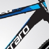 CARRARO SPEED 240 24 21 V